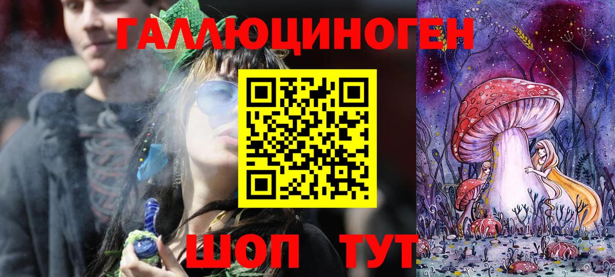 Гатчина  Псилоцибиновые грибы Cubensis  где продают   Вход с VPN 